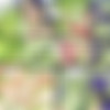 [Jab Comix]/Omega Girl/2 (Eng)