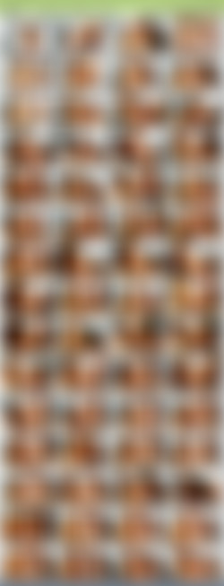 POVManiaXXX.18.04.13.Nickey.Huntsman.And.Nikki.Knightly.A.Real.Workout.XXX.1080p.MP4-KTR/povmania.18.04.13.nickey.huntsman.and.nikki.knightly.a.real.workout.mp4.jpg