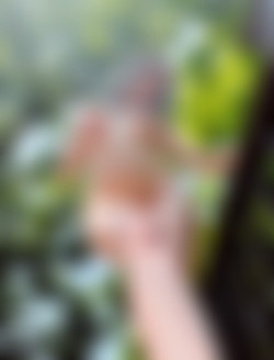 Outdoors 21/56k896a360ie1.jpeg