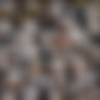 Dolores thumbnail