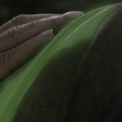 Predator.1987.2160p.ATVP.WEB-DL.DTS-HD.MA.5.1.HDR10P.H.265-BTBN.mkv